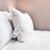 The Pillow Factory Downlite 75/25 Waterfowl Feather/White Down Pillow, with a visible care label, rests against another pillow on a neatly made bed with a white quilted comforter. The softly blurred background creates a calm, clean atmosphere.